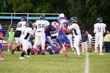 Enlarge photo 82