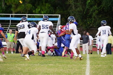 Enlarge photo 83