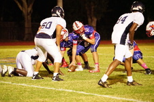 Enlarge photo 455