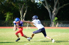 Enlarge photo 52