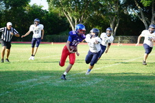 Enlarge photo 51