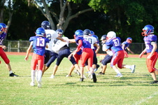 Enlarge photo 69
