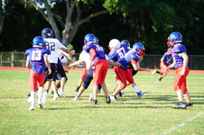 Enlarge photo 67