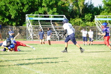 Enlarge photo 84