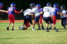 Enlarge photo 105