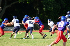 Enlarge photo 129
