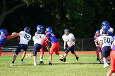 Enlarge photo 130