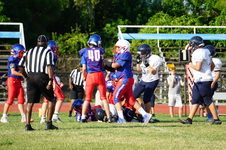 Enlarge photo 142
