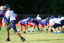 Enlarge photo 147