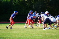 Enlarge photo 152