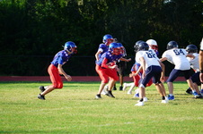 Enlarge photo 156