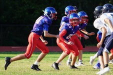Enlarge photo 154