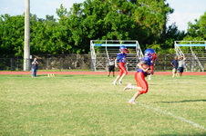 Enlarge photo 169