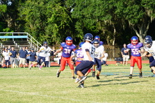 Enlarge photo 175