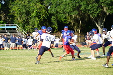 Enlarge photo 176
