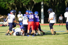 Enlarge photo 181