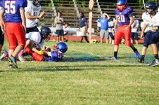 Enlarge photo 211