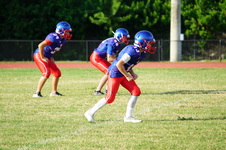 Enlarge photo 226