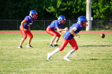 Enlarge photo 228