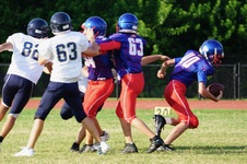 Enlarge photo 232