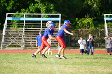 Enlarge photo 239
