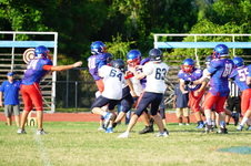 Enlarge photo 243