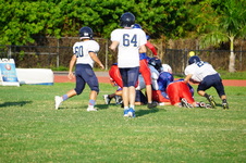Enlarge photo 254