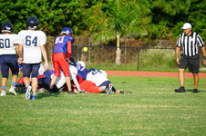 Enlarge photo 256