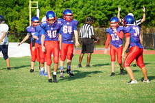 Enlarge photo 274