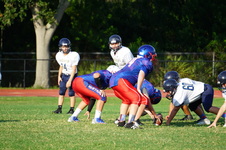 Enlarge photo 290