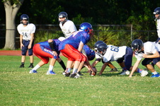 Enlarge photo 291
