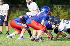 Enlarge photo 292