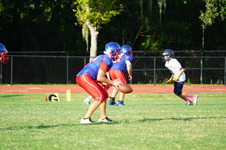 Enlarge photo 294