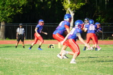 Enlarge photo 295