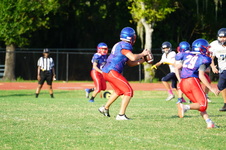 Enlarge photo 297