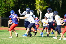 Enlarge photo 301