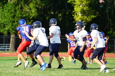 Enlarge photo 302