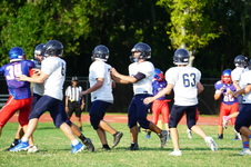 Enlarge photo 303