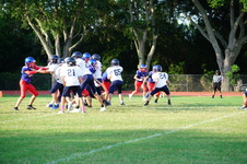 Enlarge photo 310