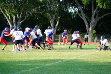 Enlarge photo 312