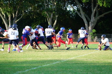 Enlarge photo 314