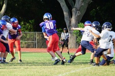 Enlarge photo 315