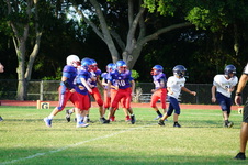 Enlarge photo 323
