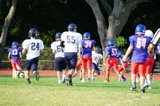 Enlarge photo 322