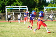 Enlarge photo 337