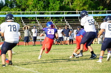 Enlarge photo 341