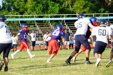 Enlarge photo 342