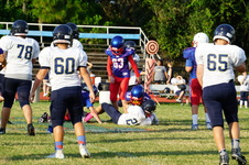 Enlarge photo 389