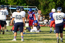 Enlarge photo 390