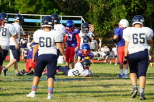 Enlarge photo 393